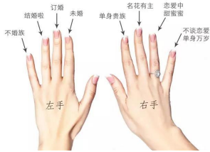 ������ָ�Ĵ���ͼ�� ��ͬ��ָ�����Ų�ͬ�ĺ���