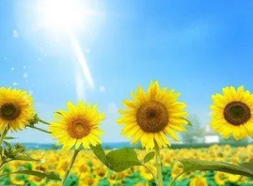 办公室文化墙标语 让员工感受到企业文化的魅力