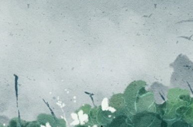 С���������ص�ͷ��� С�����������