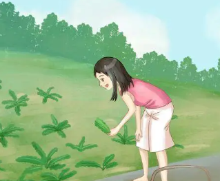 С���������ص�ͷ��� С�����������