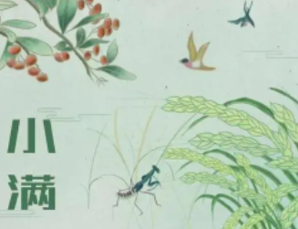 С���������ص�ͷ��� С�����������