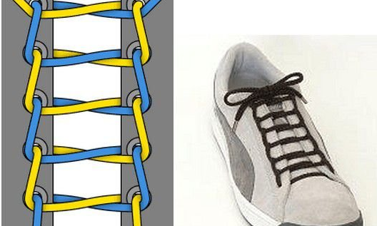 24��Ь����ϵ��ͼ��