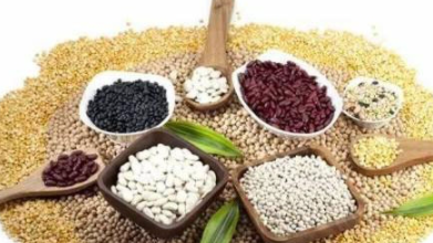 ά����b1����ʲô����