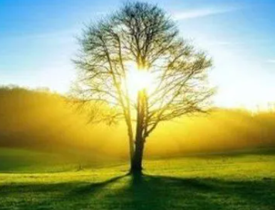 ÿ�챣�ֺ���̬��˵˵�̾� ο��ÿ����̫�಻���������