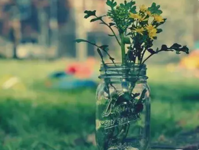 ÿ�챣�ֺ���̬��˵˵�̾� ο��ÿ����̫�಻���������