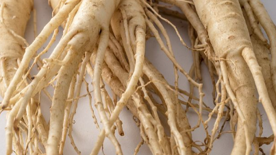 �˲εĹ�Ч�������Լ��Է� 5�������˲ε�ʳ��ƫ��