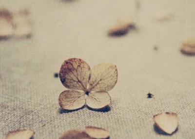 һ���˵ĸ����ʲô��˼ ��һ���˵��۽�