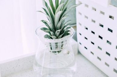 һ���˵ĸ����ʲô��˼ ��һ���˵��۽�