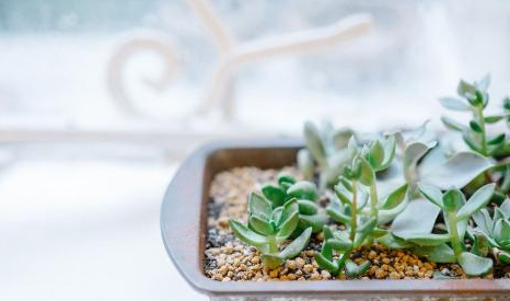 һ���˵ĸ����ʲô��˼ ��һ���˵��۽�