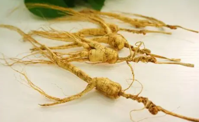 �˲εĹ�Ч�������Լ��Է� 5�������˲ε�ʳ��ƫ��