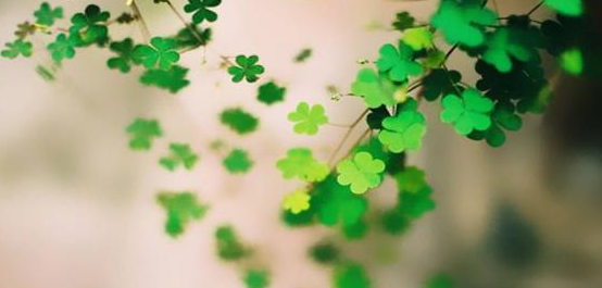 һ���˵ĸ����ʲô��˼ ��һ���˵��۽�