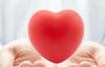 ������������������ ������ѯʦ����