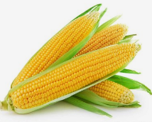 ���׵Ĺ�Ч��������ʲô ���׵�Ӫ����ֵ