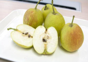 ���������Ĺ�Ч