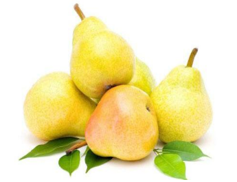 ���������Ĺ�Ч