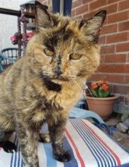 ��������������è ���Ѿ�����34��