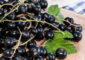 ��ӣ�ӵĹ�Ч�����õĹ��������� ��θ�������Ĺ�Ч