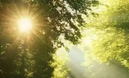 һ�仰�����簲�İ� ÿһ���糿����һ��ף��