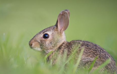 �μ�������ʲôԤ�� ���״������߻��к���