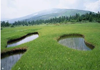 �μ������ʲô���� ���в�������