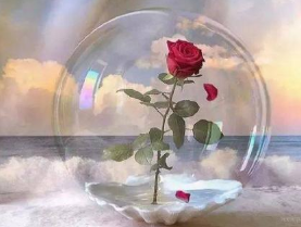 ���鲻���ʺϷ�����Ȧ�ľ��� ֻ����ů��֪