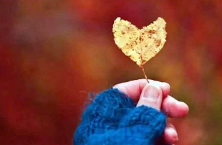 ���鲻���ʺϷ�����Ȧ�ľ��� ֻ����ů��֪