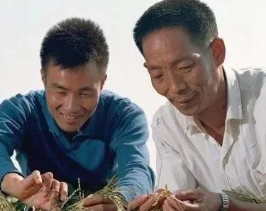 �й�ʮ���Ͷ�ģ������