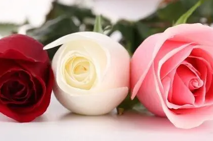 õ�廨���ȫ ��ͬ��ɫ���Ų�ͬ�Ļ���