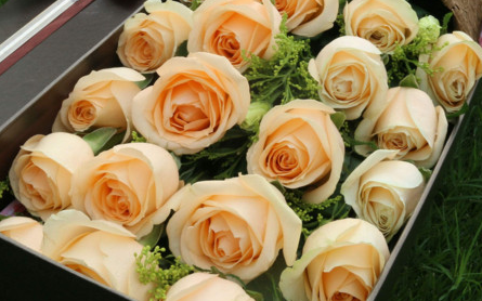 õ�廨���ȫ ��ͬ��ɫ���Ų�ͬ�Ļ���