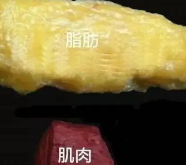 ��֬��20��һ�����Ǯ 10000-20000Ԫ����һ��