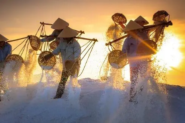 �����Ͷ������Ծ���