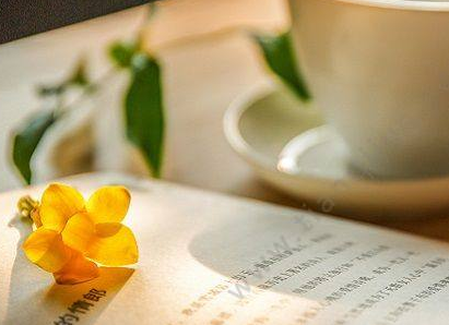 �α꿨�ߵĶ������� �������α���̶���Ϊ׼