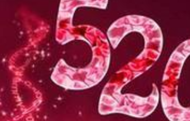 8426468���ִ���ʲô �������÷�