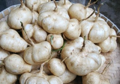 �׵عϵ����� �Է��кܶ�