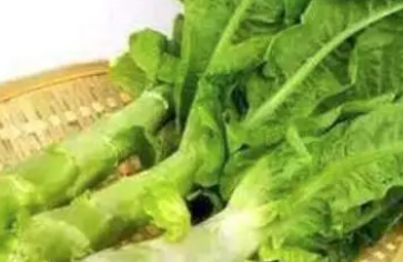 ݫ��Ҷ�ĸ�����Σ�� ��ݫ��Ҷ��ʲô�ô�