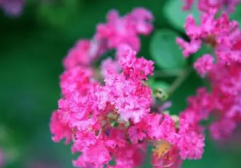 �������л��Ĵ��� ���������Լ����л�