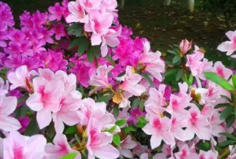 �������л��Ĵ��� ���������Լ����л�