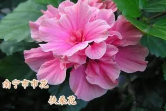 �������л��Ĵ��� ���������Լ����л�