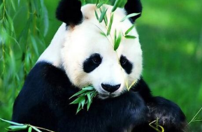 ��������è������ ����è��Ϣ����