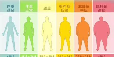 bmi计算公式怎么计算体重
