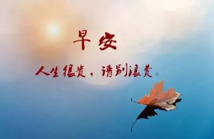 ���Ϻø����̾��� �����ͬ���ʺ�