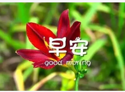 ���Ϻø����̾��� �����ͬ���ʺ�