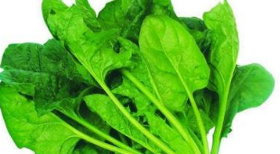 ʮ��ǿ����ʳ�������� ǿ���Ե�ʳ������