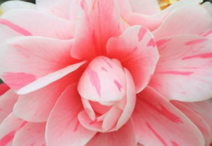 �����л���ʲô ����������ʲô��