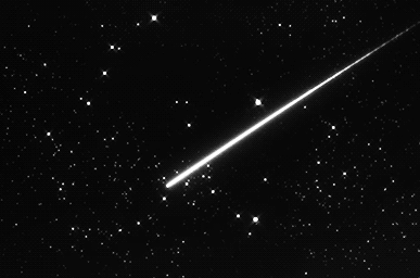 ʨ�������������ĸ�����ۿ� ʨ����������ʱ��