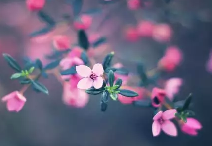 ����������Щȫ��д����