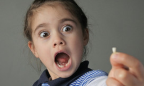 �μ���������ʲô������