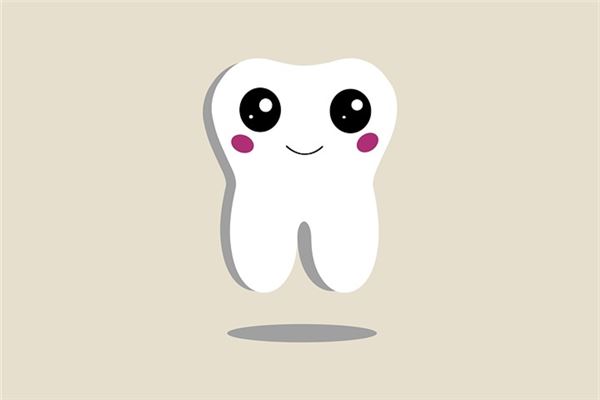 �μ���������ʲô������