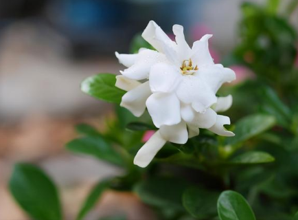 ���ӻ�����ֳ������ע������