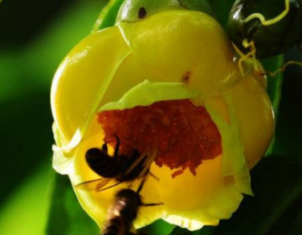 �����л���ʲô ����������ʲô��